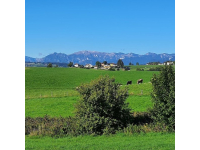 Rigoni di Asiago