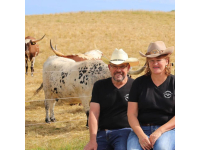 Texas Longhorn Ranch