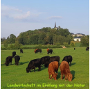 Luing Weiderindfleisch 4,5kg (Bio) | November
