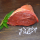 Luing Weiderindfleisch 4,5kg (Bio) | November