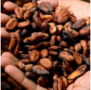 Kokos-Kakao-Aufstrich in Rohkostqualität (Bio)