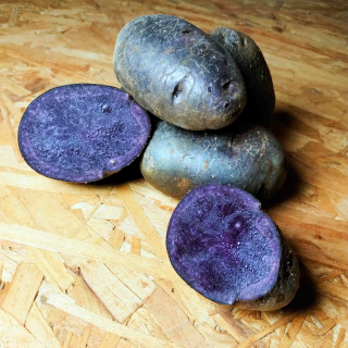 Kartoffel Blaue Anneliese 5 kg Netz