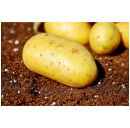 Grischberli Kartoffelsalat 120 g