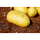 Grischberli Kartoffelsalat 120 g